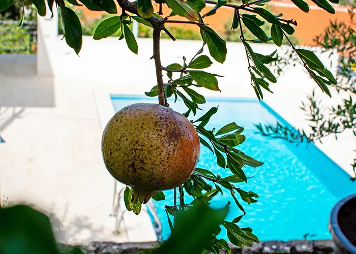 Marumare Willa Milna (Brac)