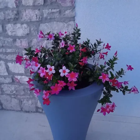 Вилла Marumare *