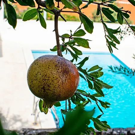 Marumare Вилла Милна